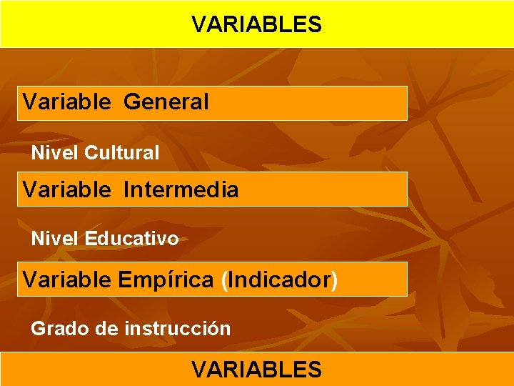 VARIABLES Variable General Nivel Cultural Variable Intermedia Nivel Educativo Variable Empírica (Indicador) Grado de