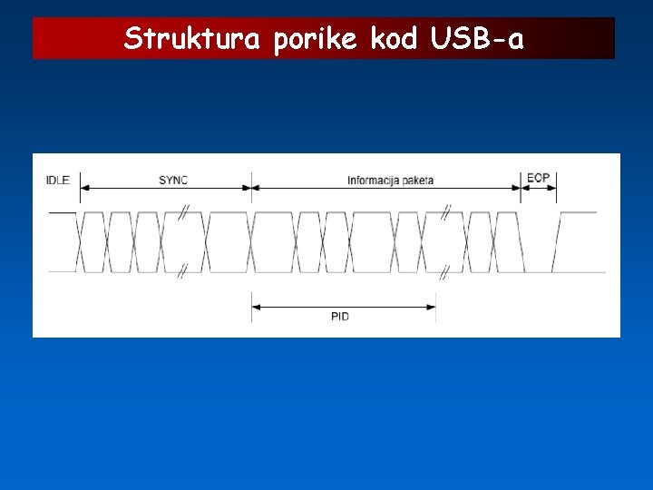 Struktura porike kod USB-a 