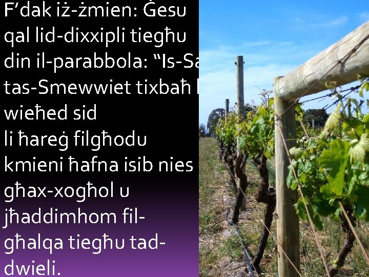 F’dak iż-żmien: Ġesu qal lid-dixxipli tiegħu din il-parabbola: “Is-Saltna tas-Smewwiet tixbaħ lil wieħed sid