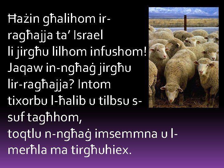 Ħażin għalihom irragħajja ta’ Israel li jirgħu lilhom infushom! Jaqaw in-ngħaġ jirgħu lir-ragħajja? Intom