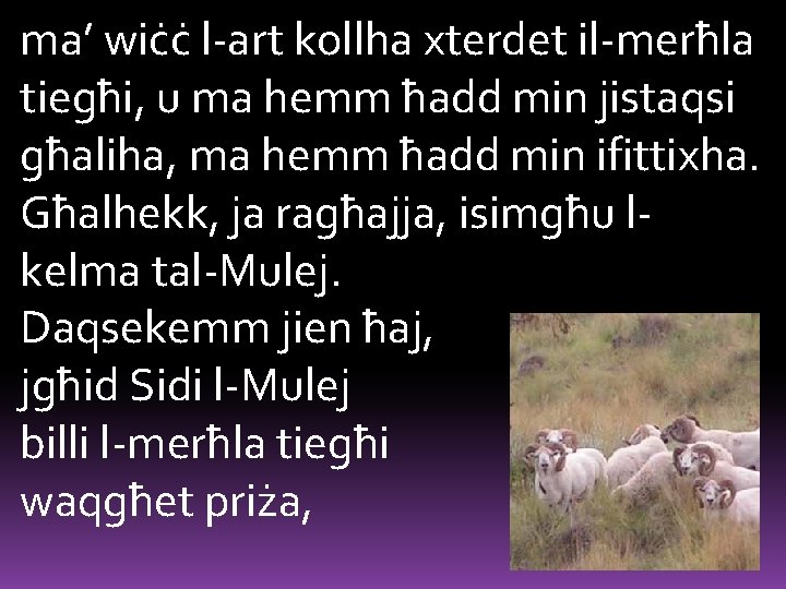 ma’ wiċċ l-art kollha xterdet il-merħla tiegħi, u ma hemm ħadd min jistaqsi għaliha,