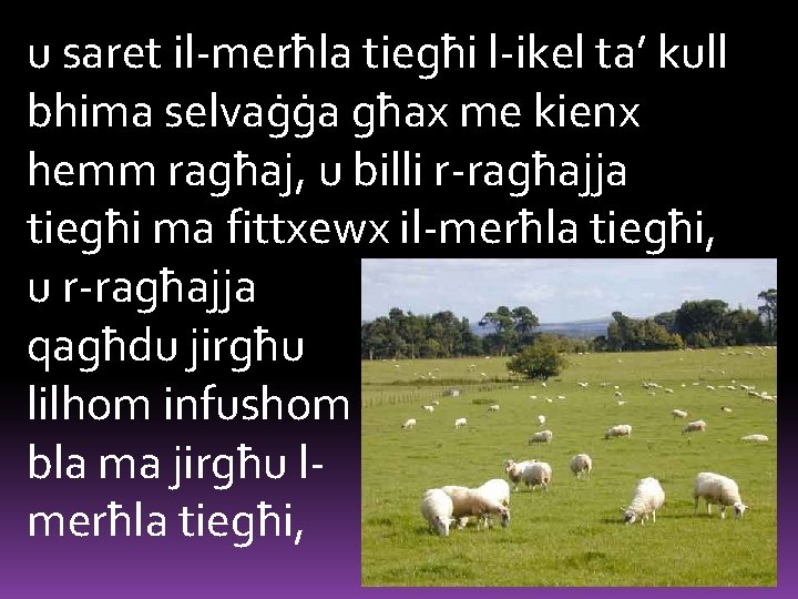 u saret il-merħla tiegħi l-ikel ta’ kull bhima selvaġġa għax me kienx hemm ragħaj,