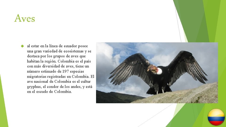 Aves al estar en la línea de ecuador posee una gran variedad de ecosistemas