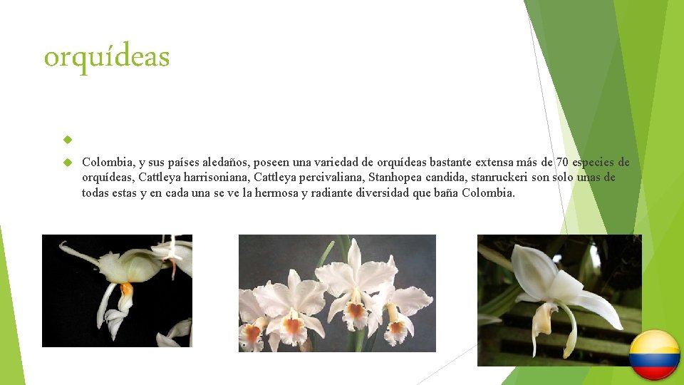 orquídeas Colombia, y sus países aledaños, poseen una variedad de orquídeas bastante extensa más