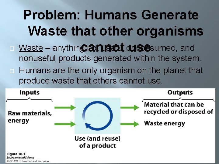  Problem: Humans Generate Waste that other organisms Waste – anythingcannot useful or consumed,