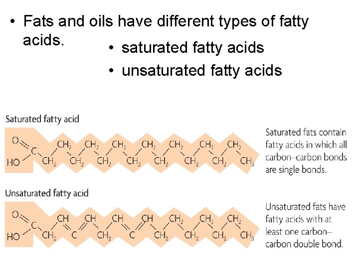  • Fats and oils have different types of fatty acids. • saturated fatty
