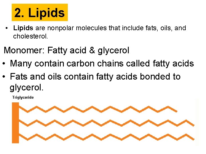 2. Lipids • Lipids are nonpolar molecules that include fats, oils, and cholesterol. Monomer: