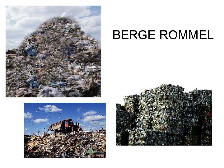 BERGE ROMMEL 