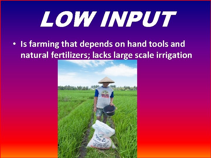 LOW INPUT • Is farming that depends on hand tools and natural fertilizers; lacks