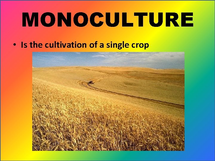 MONOCULTURE • Is the cultivation of a single crop 