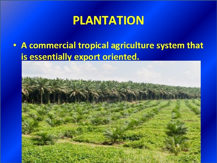 PLANTATION • A commercial tropical agriculture system that is essentially export oriented. 