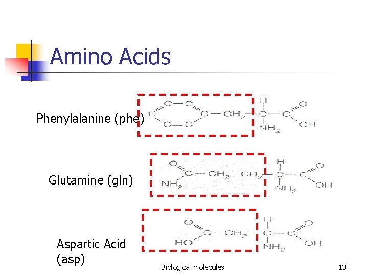 Amino Acids Phenylalanine (phe) Glutamine (gln) Aspartic Acid (asp) Biological molecules 13 