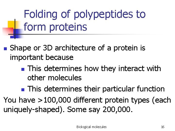 Folding of polypeptides to form proteins Shape or 3 D architecture of a protein