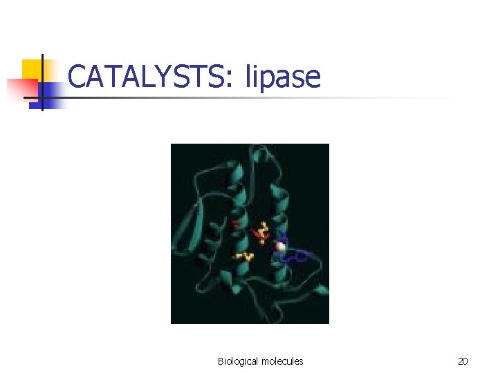 CATALYSTS: lipase Biological molecules 20 
