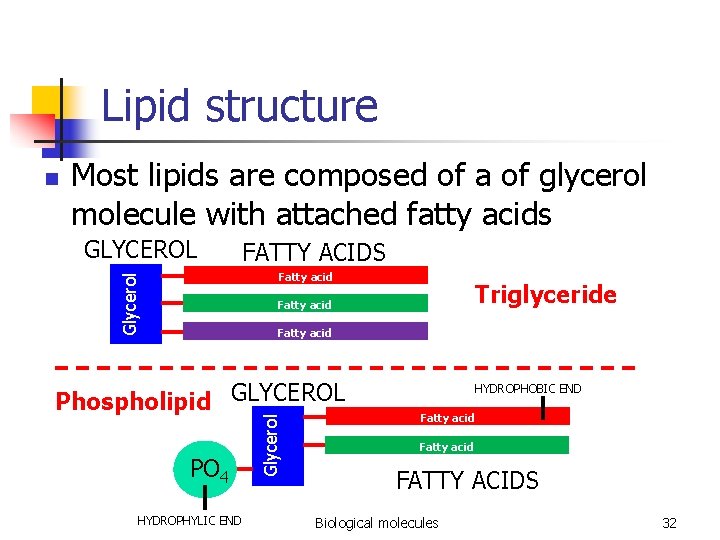 Lipid structure n Most lipids are composed of a of glycerol molecule with attached
