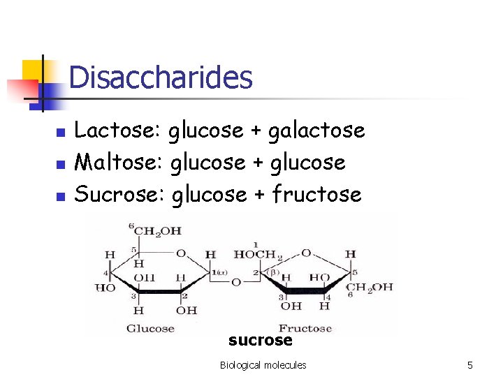 Disaccharides n n n Lactose: glucose + galactose Maltose: glucose + glucose Sucrose: glucose