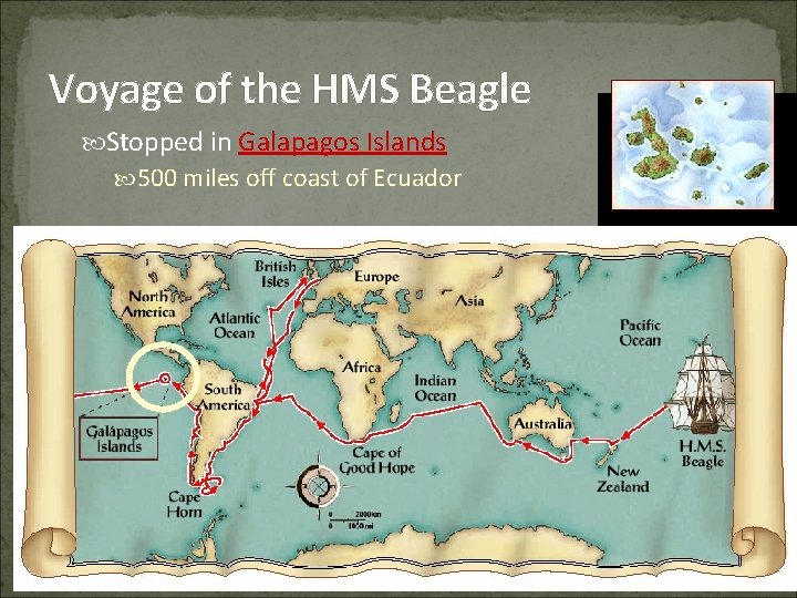 Voyage of the HMS Beagle Stopped in Galapagos Islands 500 miles off coast of