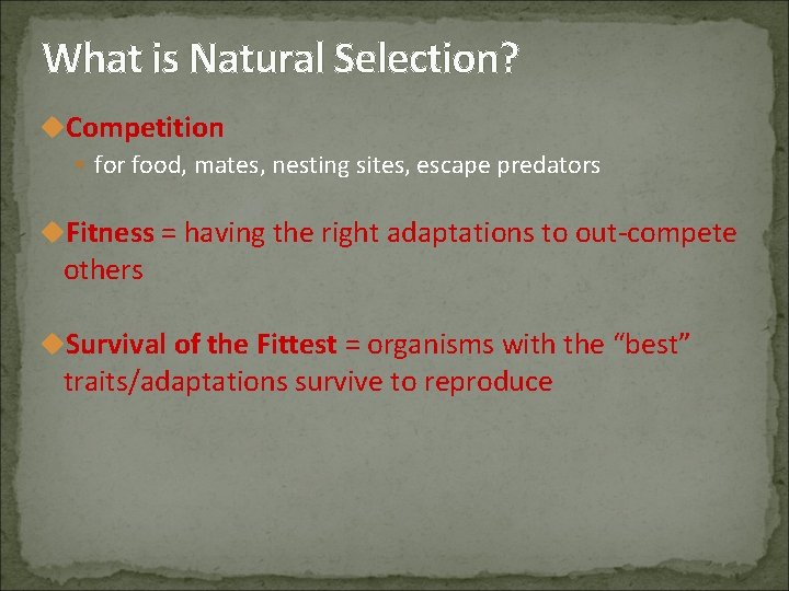 What is Natural Selection? u. Competition § for food, mates, nesting sites, escape predators