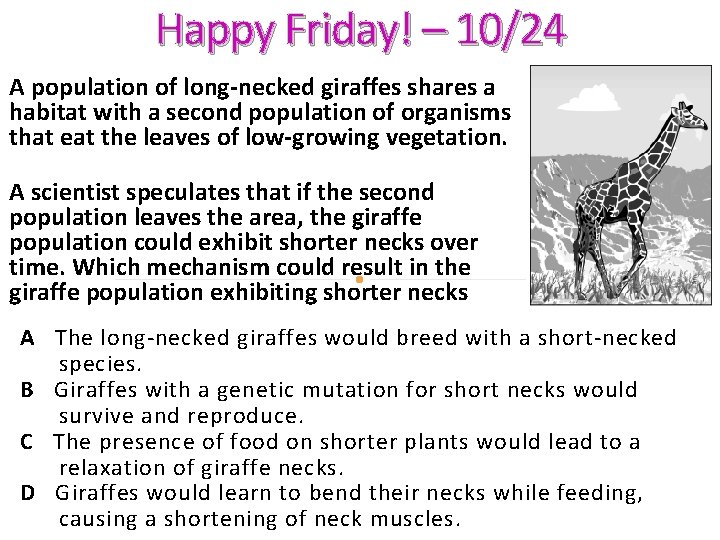 Happy Friday! – 10/24 A population of long-necked giraffes shares a habitat with a