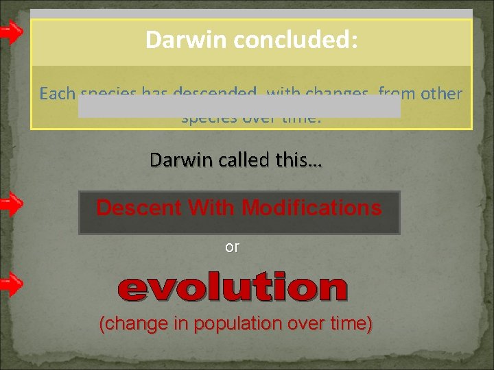 Darwin concluded: Each species has descended, with changes, from other species over time. Darwin