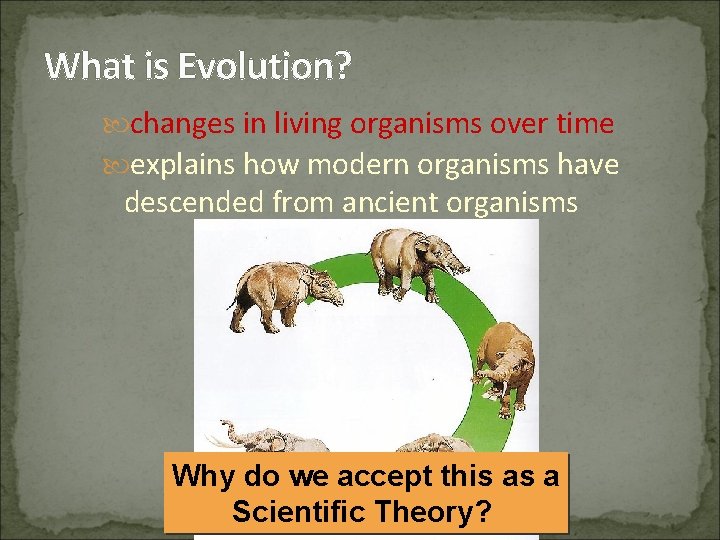 What is Evolution? changes in living organisms over time explains how modern organisms have