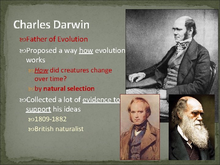 Charles Darwin Father of Evolution Proposed a way how evolution works How did creatures