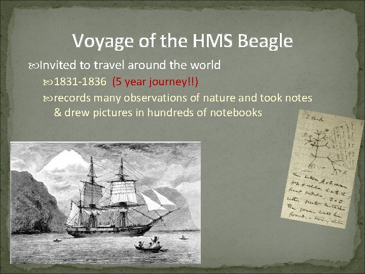 Voyage of the HMS Beagle Invited to travel around the world 1831 -1836 (5