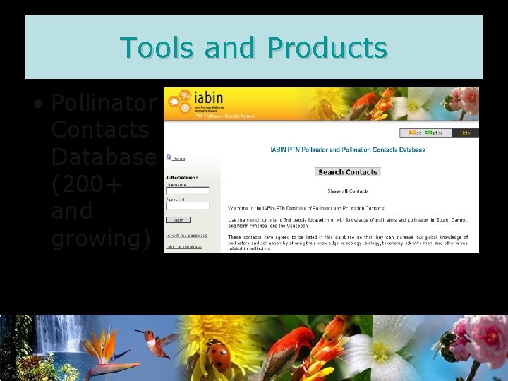 Tools and Products • Pollinator Contacts Database (200+ and growing) 