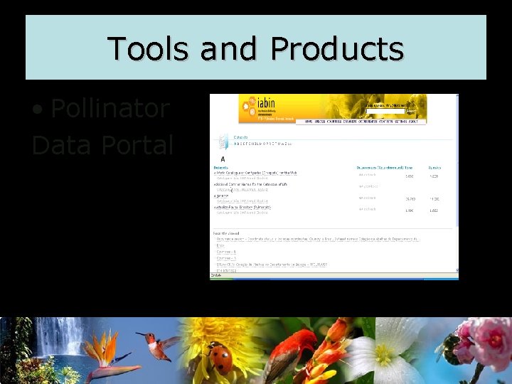 Tools and Products • Pollinator Data Portal 