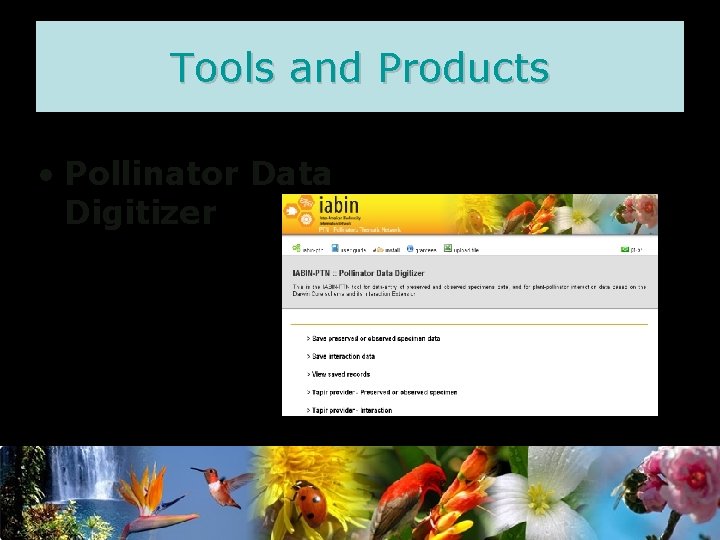 Tools and Products • Pollinator Data Digitizer 