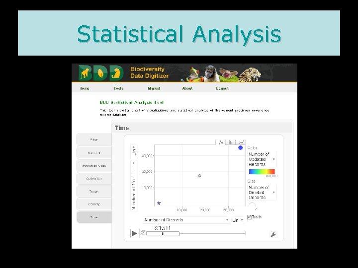 Statistical Analysis 