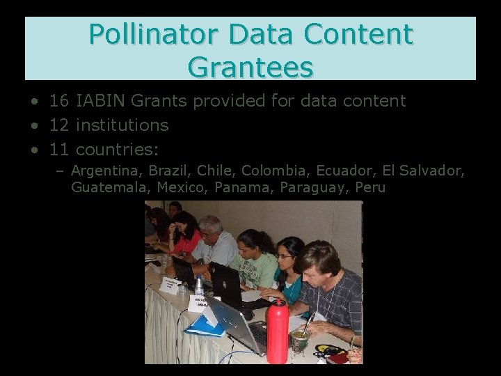 Pollinator Data Content Grantees • 16 IABIN Grants provided for data content • 12