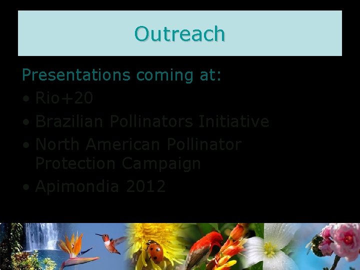 Outreach Presentations coming at: • Rio+20 • Brazilian Pollinators Initiative • North American Pollinator