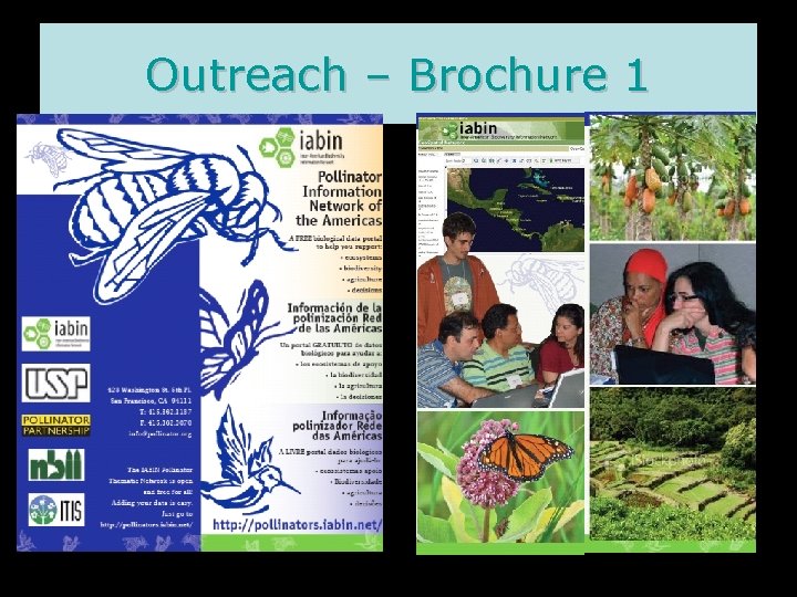 Outreach – Brochure 1 