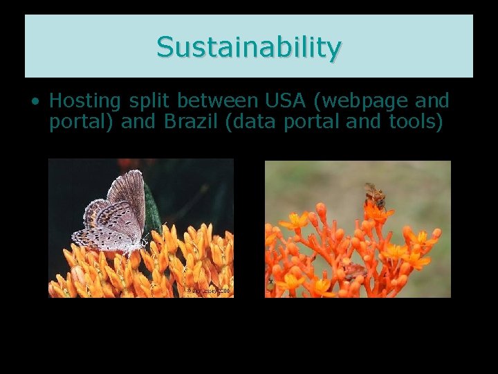 Sustainability • Hosting split between USA (webpage and portal) and Brazil (data portal and