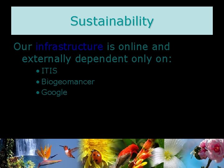 Sustainability Our infrastructure is online and externally dependent only on: • ITIS • Biogeomancer