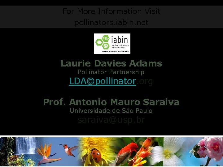 For More Information Visit pollinators. iabin. net Laurie Davies Adams Pollinator Partnership LDA@pollinator. org