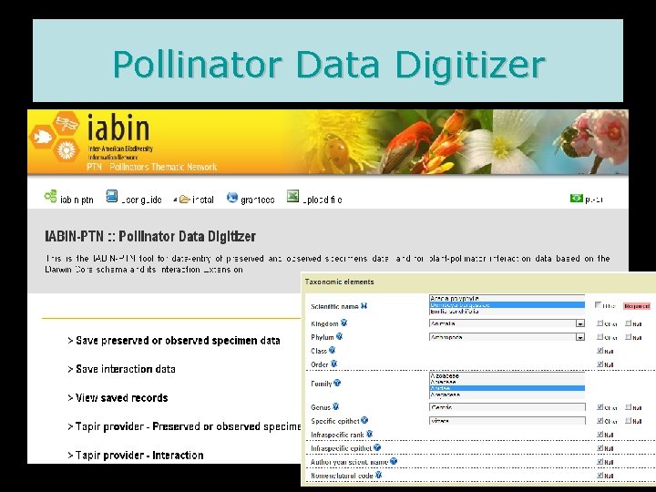 Pollinator Data Digitizer 