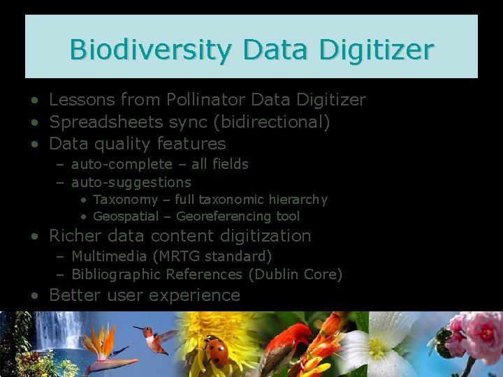 Biodiversity Data Digitizer • Lessons from Pollinator Data Digitizer • Spreadsheets sync (bidirectional) •