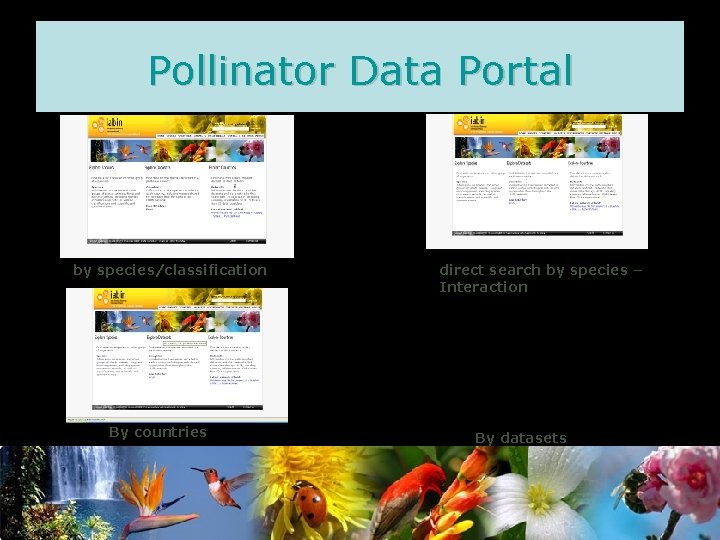 Pollinator Data Portal by species/classification By countries direct search by species – Interaction By