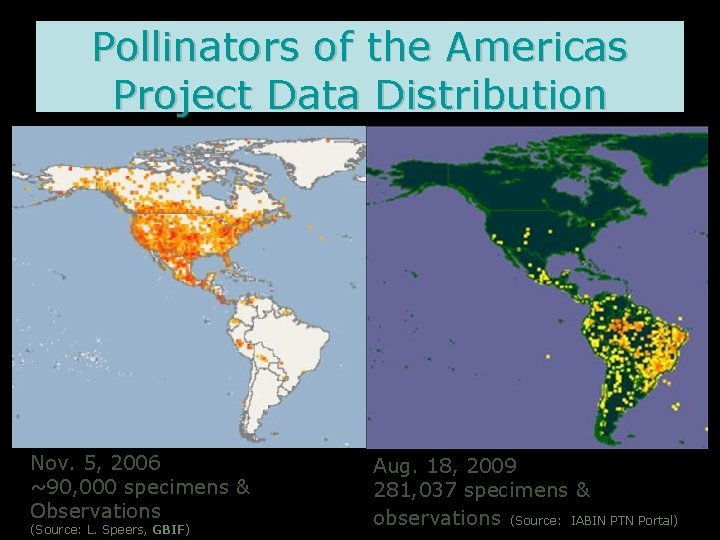 Pollinators of the Americas Project Data Distribution Nov. 5, 2006 ~90, 000 specimens &