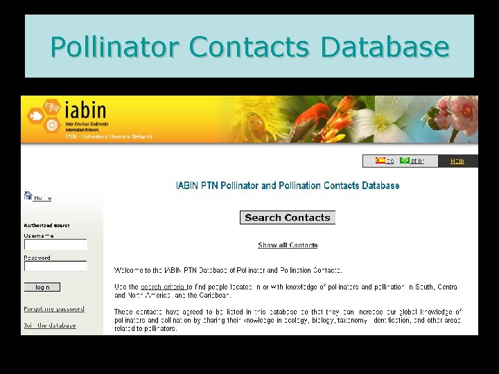 Pollinator Contacts Database 