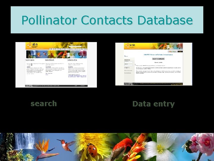 Pollinator Contacts Database search Data entry 