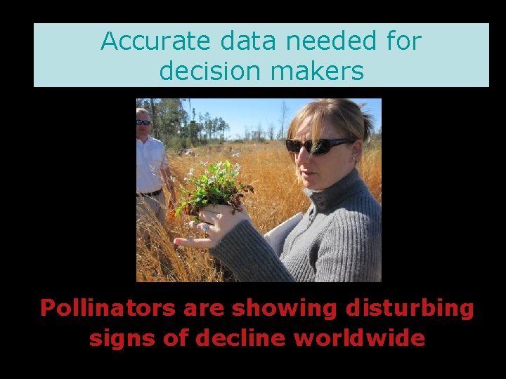 Accurate data needed for decision makers Pollinators are showing disturbing signs of decline worldwide