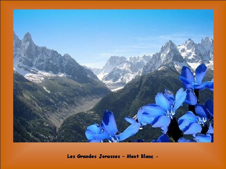 Les Grandes Jorasses – Mont Blanc - 
