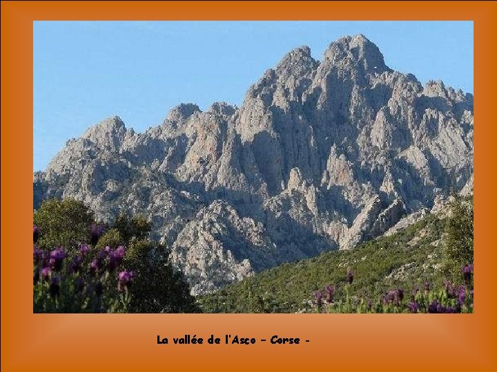 La vallée de l’Asco – Corse - 