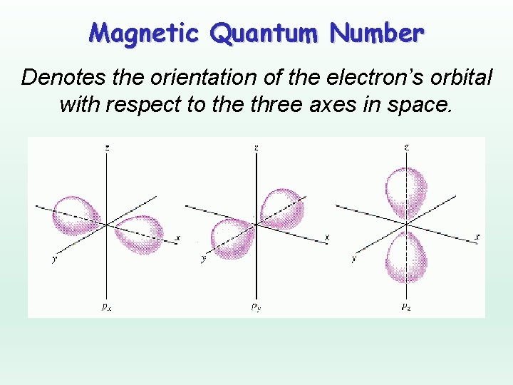 Magnetic Quantum Number Denotes the orientation of the electron’s orbital with respect to the
