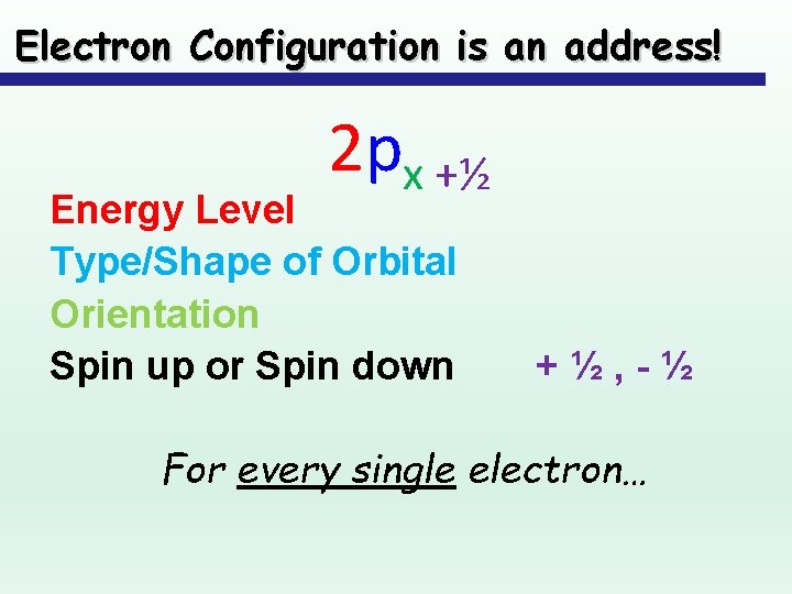 Electron Configuration is an address! 2 px +½ Energy Level Type/Shape of Orbital Orientation