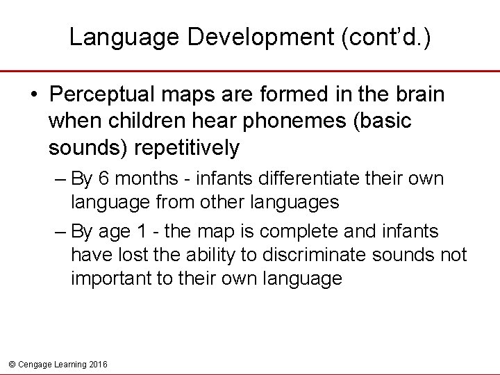 Language Development (cont’d. ) • Perceptual maps are formed in the brain when children