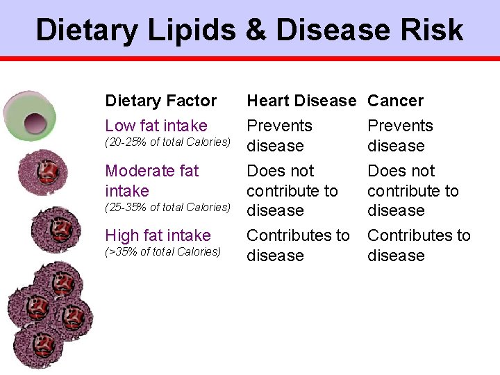 Dietary Lipids & Disease Risk Dietary Factor Heart Disease Cancer Low fat intake Prevents
